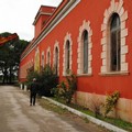 50 mila euro e protocolli d'intesa con l'Uniba: ecco «Papparicotta»