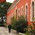 50 mila euro e protocolli d'intesa con l'Uniba: ecco «Papparicotta»