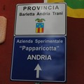 50 mila euro e protocolli d'intesa con l'Uniba: ecco «Papparicotta»