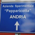 50 mila euro e protocolli d'intesa con l'Uniba: ecco «Papparicotta»
