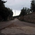 Report rifiuti e pulizia del 15 gennaio