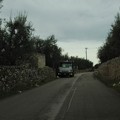 Report rifiuti e pulizia del 15 gennaio