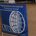 p1000105