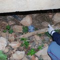 Munizioni e manette in una busta sotto un cumulo di sassi