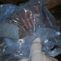 Munizioni e manette in una busta sotto un cumulo di sassi