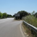 La strada provinciale 2