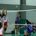 L'Audax batte il Volley Barletta e pensa al San Severo