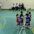 Pianeta Sport Bitetto - Audax Volley Andria 2-3