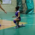 L'Audax Volley vola in seconda posizione: battuto a domicilio il Bitetto