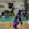 L'Audax Volley vola in seconda posizione: battuto a domicilio il Bitetto
