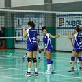 L'Audax batte il Volley Barletta e pensa al San Severo