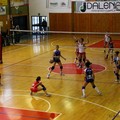 Audax Volley Andria a Barletta