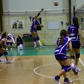 L'Audax Volley vola in seconda posizione: battuto a domicilio il Bitetto