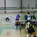 L'Audax Volley vola in seconda posizione: battuto a domicilio il Bitetto