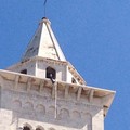 Dog's Hostel, protesta estrema: Vito Malcangi sul cornicione della Cattedrale di Trani