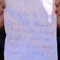Bigliettini lanciati da Vito Malcangi dal Campanile della Cattedrale di Trani