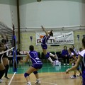 L'Audax Volley vola in seconda posizione: battuto a domicilio il Bitetto