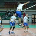 Doppio successo per la Pallavolo Andria: 3 a 0 sia in C che in D