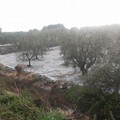 Violenta grandinata sull'Andria-Castel del Monte
