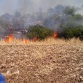 Attività antincendio boschivo della Misericordia: un weekend di fuoco
