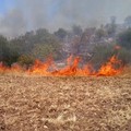Attività antincendio boschivo della Misericordia: un weekend di fuoco