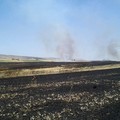 Attività antincendio boschivo della Misericordia: un weekend di fuoco