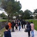 Castel del Monte: oltre 3mila i visitatori del Maniero tra Pasqua e Pasquetta