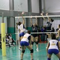 295685 10151304355512551 1017653260 n