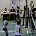 522528 10151280177117551 236577661 n