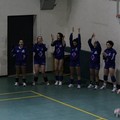 531006 10151280170567551 1623880650 n