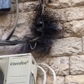 Salta un fusibile: senza elettricità un isolato attorno a Piazza Catuma