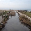 ​Ciappetta-Camaggio: una fogna a cielo aperto fra Trani e Barletta