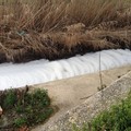 ​Ciappetta-Camaggio: una fogna a cielo aperto fra Trani e Barletta