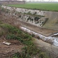 ​Ciappetta-Camaggio: una fogna a cielo aperto fra Trani e Barletta