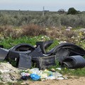 Rifiuti ex Statale 98 Andria