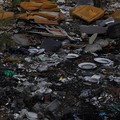 Rifiuti ex Statale 98 Andria