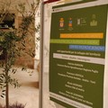 Brand "Castel del Monte": turismo, produzione e commercio