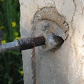 Castel del Monte: fontana ed erba preda d'incuria