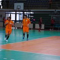 Città di Andria - Futsal Canosa 2-3: sconfitti, ma a testa alta