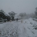 Neve e turisti: lo spettacolo magico di Castel del Monte