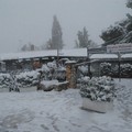 Neve e turisti: lo spettacolo magico di Castel del Monte