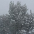Neve e turisti: lo spettacolo magico di Castel del Monte