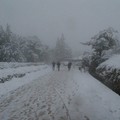 Neve e turisti: lo spettacolo magico di Castel del Monte