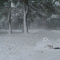 Neve e turisti: lo spettacolo magico di Castel del Monte