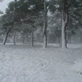 Neve e turisti: lo spettacolo magico di Castel del Monte
