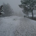Neve e turisti: lo spettacolo magico di Castel del Monte