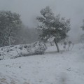 Neve e turisti: lo spettacolo magico di Castel del Monte