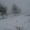 Neve e turisti: lo spettacolo magico di Castel del Monte