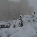 Neve e turisti: lo spettacolo magico di Castel del Monte