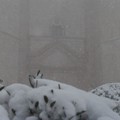Neve e turisti: lo spettacolo magico di Castel del Monte